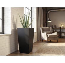 Hoher schwarzer Pflanzkübel in quadratischer konischer Form mit einer Aloe Vera Pflanze in einem hellen Wohnzimmer mit Backsteinwand.