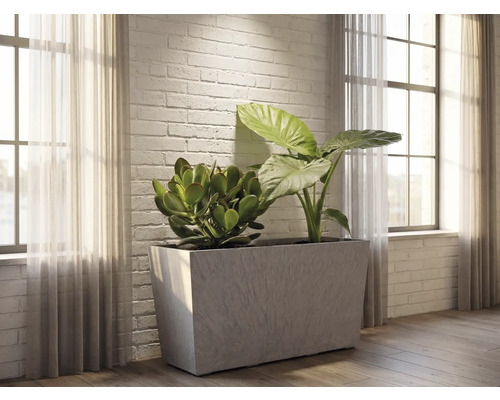 Großer rechteckiger Pflanzkasten in Betonoptik in einem hellen Wohnraum mit weißer Ziegelwand, bepflanzt mit Geldbaum und Alokasie.