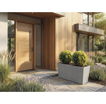 Heller, moderner Eingangsbereich mit Holztür, Holzfassade und einem großen grauen Pflanzkasten mit zwei runden Buchsbäumen auf Steinplatten.