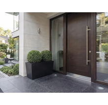 Moderner Eingangsbereich mit einer dunklen Holz-Haustür, langem Metallgriff, Seitenfenstern und einem schwarzen rechteckigen Pflanzkasten mit zwei kugeligen grünen Pflanzen.