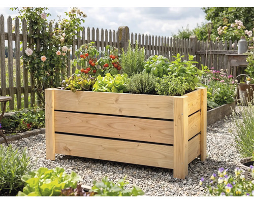 Rechteckiges Hochbeet aus hellem Holz in einem Garten, bepflanzt mit Tomaten, Kräutern und Salat.