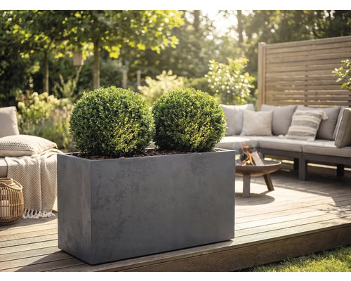 Rechteckiges graues Pflanzgefäß mit zwei kugelförmigen Buchsbäumen auf einer Holzterrasse in einem Garten-Loungebereich mit Feuerschale und Sofa.