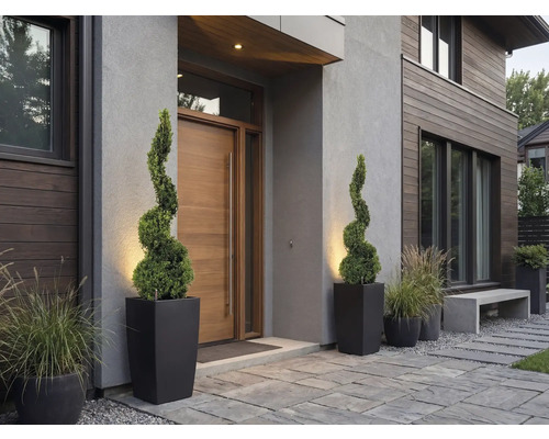 Moderner Hauseingang mit Holztür, zwei spiralförmigen Buchsbäumen in hohen schwarzen Pflanzkübeln und Ziergräsern auf Steinplatten.