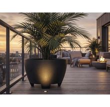 Großer strukturierter schwarzer Pflanzkübel mit Palme auf moderner Dachterrasse mit Holzdeck, Loungemöbeln und Feuerschale bei Sonnenuntergang.