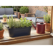 Dunkelblaues Metall-Pflanzgefäß mit Kräutern wie Rosmarin und Minze neben einer roten Gießkanne auf einem Holzsims auf einer hellen Terrasse.