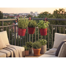Rote Balkonhängetöpfe aus Metall mit Kräutern an einem Balkongeländer, umgeben von Loungemöbeln und weiteren Pflanztöpfen auf einem Holzboden.