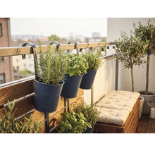 Drei dunkle Balkonhängetöpfe aus Metall an einem Geländer, bepflanzt mit Kräutern wie Rosmarin und Basilikum auf einem hellen, organisierten Balkon.