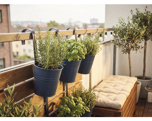 Drei dunkle Balkonhängetöpfe aus Metall an einem Geländer, bepflanzt mit Kräutern wie Rosmarin und Basilikum auf einem hellen, organisierten Balkon.