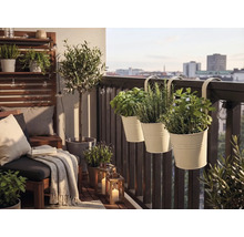 Hell gestalteter Balkon mit hängenden Kräutertöpfen am Geländer, Loungemöbeln, einem kleinen Olivenbaum und dekorativen Laternen.