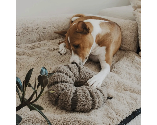Hund liegt in einem flauschigen Hundebett und spielt mit einem runden, strukturierten Plüschspielzeug.