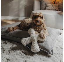 Hund liegt auf einem großen Hundekissen mit einem Plüschspielzeug in einem hellen, organisierten Wohnzimmer auf einem weichen Teppich.