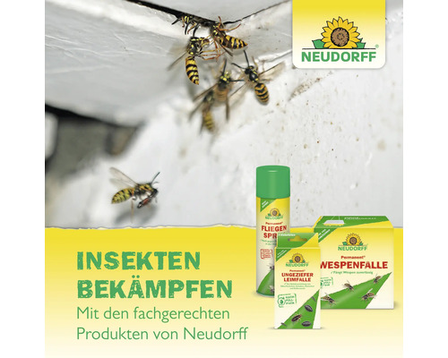 Wespen an einer Wand mit Neudorff Insektenspray, Leimfalle und Wespenfalle zur Insektenbekämpfung. Neudorff Logo.