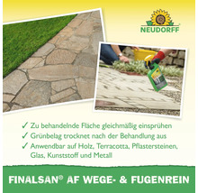 Neudorff Logo. Finalsan AF Wege- und Fugenrein entfernt Grünbelag auf Pflastersteinen, Holz, Terracotta, Glas, Kunststoff und Metall.
