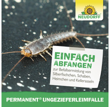 Silberfischchen auf einer Oberfläche mit Hinweis auf die Neudorff Permanent Ungezieferleimfalle zur Befallsermittlung. Neudorff Logo.