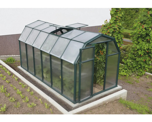 Gewächshaus im Barn-Stil mit dunkelgrünem Rahmen, lichtdurchlässigen Paneelen und zwei geöffneten Dachfenstern im Garten auf einem Betonsockel.