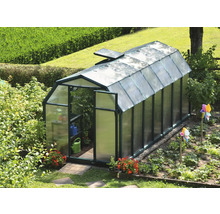 Gewächshaus mit grünem Rahmen und Hohlkammerplatten in einem Garten mit geöffneter Tür und Dachfenster.