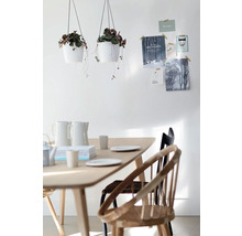 Helles Esszimmer mit Holztisch, zwei hängenden Pflanztöpfen und skandinavischen Stühlen vor einer weißen Wand mit Postkarten.