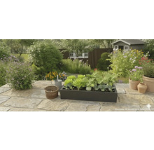 Schwarzer Pflanzkasten mit Salat und Gemüsepflanzen auf einer Steinterrasse in einem hellen Garten mit Blumen und Gartenhaus.