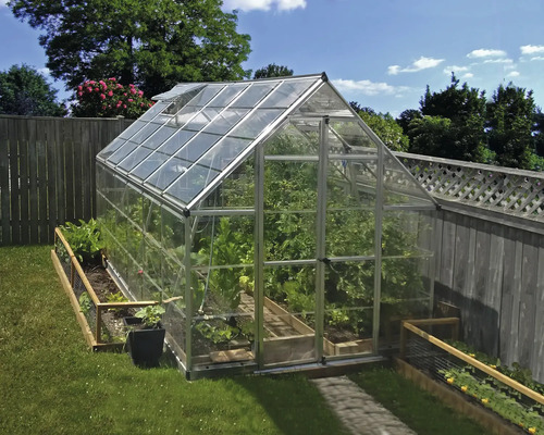 Freistehendes Gewächshaus mit Aluminiumrahmen und Verglasung in einem hellen Garten neben einem Holzzaun.