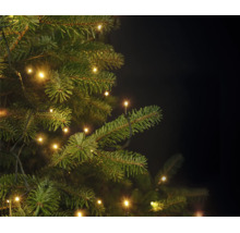 Lichterkette mit warmweißem Licht an einem grünen Weihnachtsbaum.