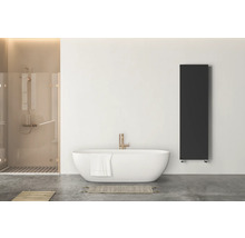 Modernes Badezimmer mit schwarzem vertikalem Heizkörper, freistehender weißer Badewanne und Dusche mit goldfarbenen Armaturen.
