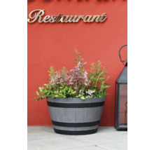 Pflanzkübel im Fass-Design mit Holzmaserung und schwarzen Ringen, bepflanzt mit rosa Astilben, platziert neben einer schwarzen Laterne.