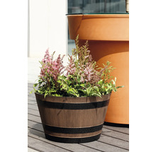 Pflanztopf in Holzfassoptik mit dunklen Ringen, bepflanzt mit rosa Astilben auf einer Holzterrasse vor einem großen Pflanzgefäß.