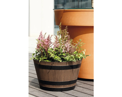 Pflanztopf in Holzfassoptik mit dunklen Ringen, bepflanzt mit rosa Astilben auf einer Holzterrasse vor einem großen Pflanzgefäß.