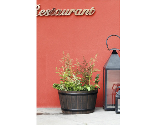 Pflanzfass in Holzoptik mit Astilbe bepflanzt und eine große schwarze Gartenlaterne aus Metall vor einer Wand mit dem Schriftzug Restaurant.