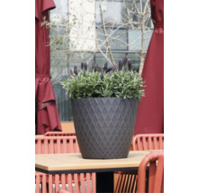 Runder Blumentopf mit Rautenmuster auf einem Holztisch, bepflanzt mit Lavendel, im Hintergrund rote Terrassenmöbel.