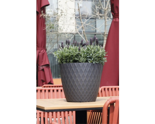 Runder Blumentopf mit Rautenmuster auf einem Holztisch, bepflanzt mit Lavendel, im Hintergrund rote Terrassenmöbel.