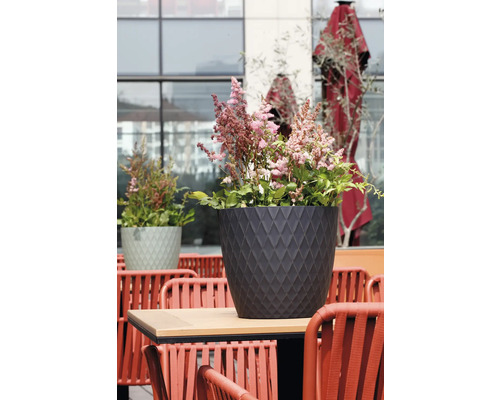 Prachtspiere in einem anthrazitfarbenen Blumentopf mit Rautenmuster auf einem Tisch im Außenbereich.