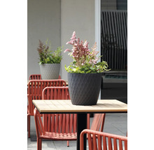 Dunkelgrauer Blumentopf mit Rautenmuster und rosa Blumen auf einem Gartentisch im Außenbereich.