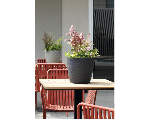 Dunkelgrauer Blumentopf mit Rautenmuster und rosa Blumen auf einem Gartentisch im Außenbereich.