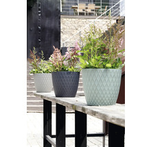 Drei runde Blumentöpfe mit Rautenmuster, bepflanzt mit blühenden Stauden auf einer Holzbank im Außenbereich.