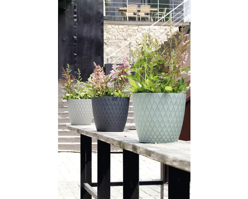 Drei runde Blumentöpfe mit Rautenmuster, bepflanzt mit blühenden Stauden auf einer Holzbank im Außenbereich.