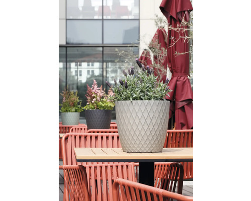 Moderner Pflanztopf mit Rautenstruktur auf einem Holztisch, bepflanzt mit Lavendel, im Hintergrund Terrassenmöbel und rote Sonnenschirme.