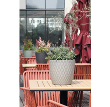 Runder, grauer Pflanzkübel mit Rautenmuster und Lavendel auf einem modernen Terrassentisch aus Holz, umgeben von roten Gartenstühlen und Sonnenschirmen.