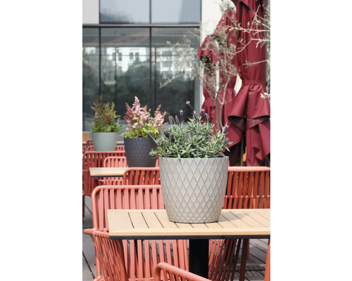 Runder, grauer Pflanzkübel mit Rautenmuster und Lavendel auf einem modernen Terrassentisch aus Holz, umgeben von roten Gartenstühlen und Sonnenschirmen.