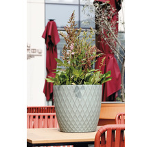 Runder hellgrüner Pflanztopf mit Rautenmuster auf einem Tisch, bepflanzt mit grünen Blättern und rosa Blüten.