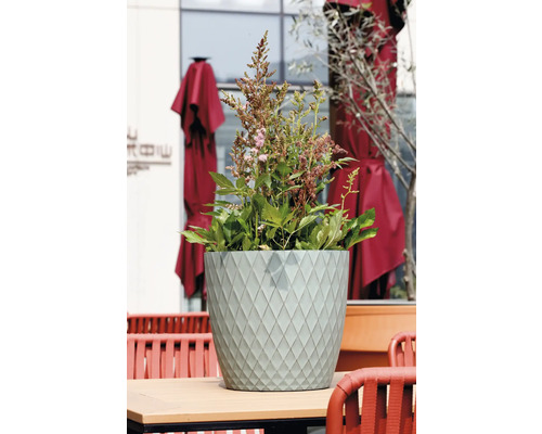 Runder hellgrüner Pflanztopf mit Rautenmuster auf einem Tisch, bepflanzt mit grünen Blättern und rosa Blüten.