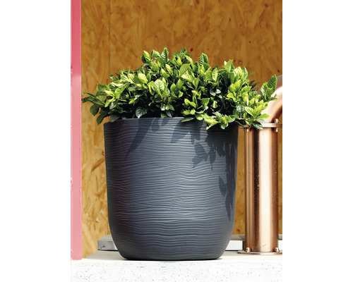 Anthrazitfarbener Pflanztopf mit Wellenstruktur und grüner Pflanze vor einer Holzwand.