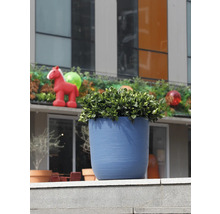 Strukturierter blauer Pflanztopf mit grüner Pflanze auf einem Steinsims im Außenbereich vor einem modernen Gebäude.