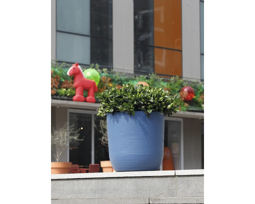 Strukturierter blauer Pflanztopf mit grüner Pflanze auf einem Steinsims im Außenbereich vor einem modernen Gebäude.