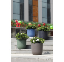 Vier moderne Pflanztöpfe aus Kunststoff mit wellenförmiger Struktur in Grün, Blau, Grau und Taupe auf einer Außentreppe.