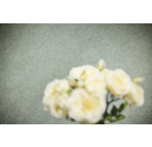Vliestapete mit feiner Textur in Leinenoptik und unscharfen Blumen im Vordergrund.