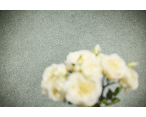 Vliestapete mit feiner Textur in Leinenoptik und unscharfen Blumen im Vordergrund.