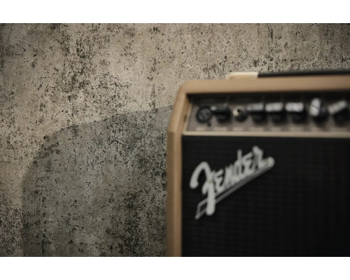 Fender Logo auf einem Gitarrenverstärker vor einer strukturierten Wand in Betonoptik.