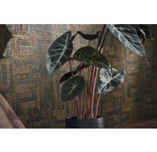 Strukturierte Tapete mit abstraktem geometrischem Muster hinter einer Zimmerpflanze Alocasia.