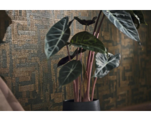 Strukturierte Tapete mit abstraktem geometrischem Muster hinter einer Zimmerpflanze Alocasia.